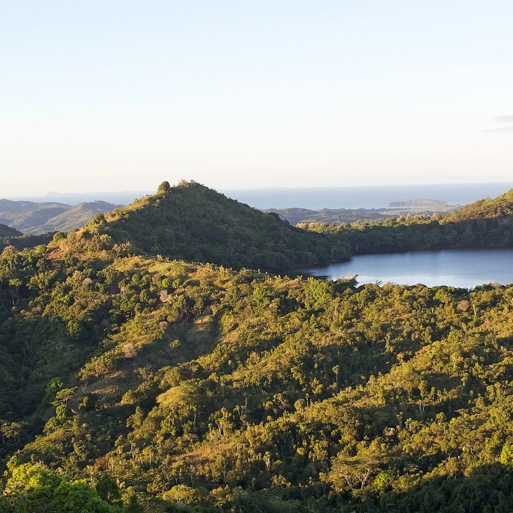 WAU Madagascar-item-0